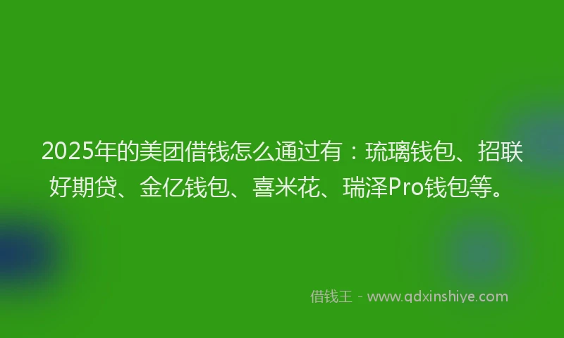 2025年的美团借钱怎么通过有：琉璃钱包、招联好期贷、金亿钱包、喜米花、瑞泽Pro钱包等。