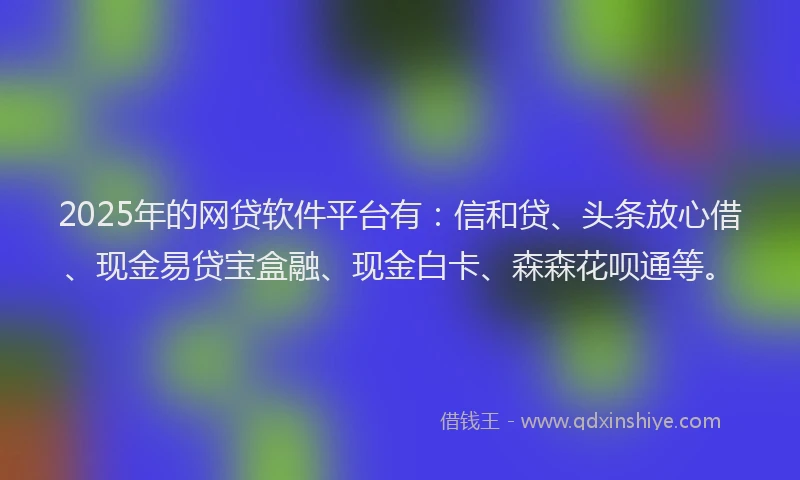 2025年的网贷软件平台有：信和贷、头条放心借、现金易贷宝盒融、现金白卡、森森花呗通等。