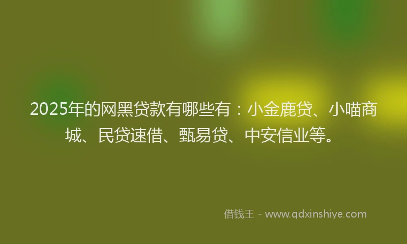 2025年的网黑贷款有哪些有：小金鹿贷、小喵商城、民贷速借、甄易贷、中安信业等。