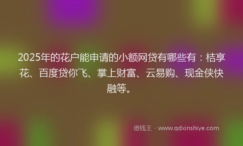 2025年的花户能申请的小额网贷有哪些有：桔享花、百度贷你飞、掌上财富、云易购、现金侠快融等。