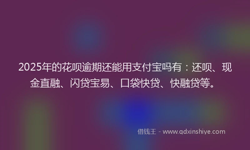 2025年的花呗逾期还能用支付宝吗有：还呗、现金直融、闪贷宝易、口袋快贷、快融贷等。