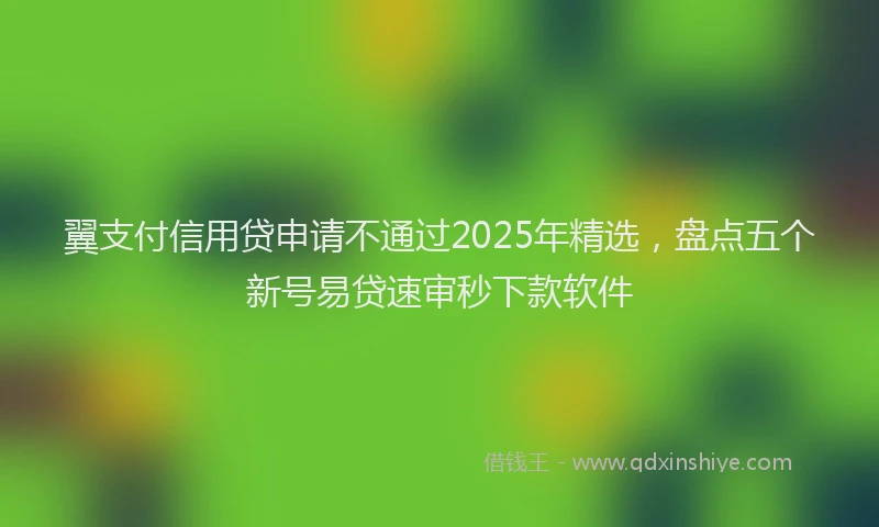 翼支付信用贷申请不通过2025年精选，盘点五个新号易贷速审秒下款软件