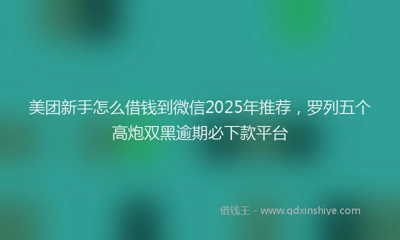 美团新手怎么借钱到微信2025年推荐，罗列五个高炮双黑逾期必下款平台