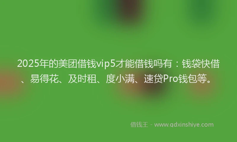 2025年的美团借钱vip5才能借钱吗有：钱袋快借、易得花、及时租、度小满、速贷Pro钱包等。