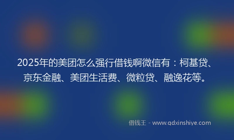2025年的美团怎么强行借钱啊微信有：柯基贷、京东金融、美团生活费、微粒贷、融逸花等。