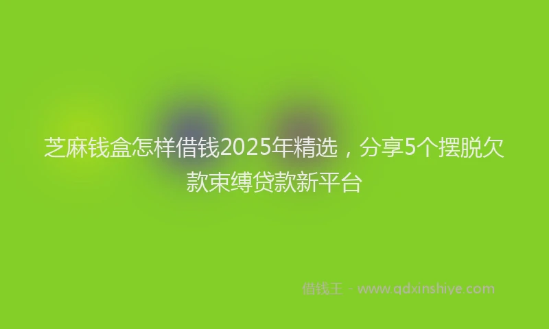 芝麻钱盒怎样借钱2025年精选，分享5个摆脱欠款束缚贷款新平台