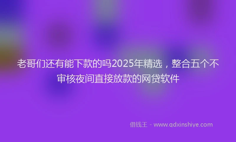 老哥们还有能下款的吗2025年精选，整合五个不审核夜间直接放款的网贷软件