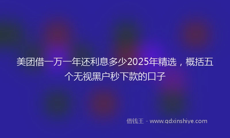 美团借一万一年还利息多少2025年精选，概括五个无视黑户秒下款的口子
