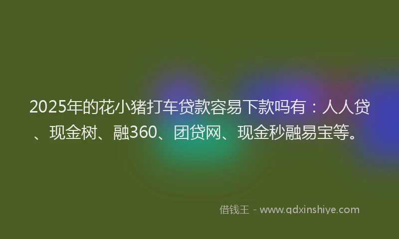2025年的花小猪打车贷款容易下款吗有：人人贷、现金树、融360、团贷网、现金秒融易宝等。