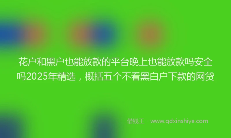 花户和黑户也能放款的平台晚上也能放款吗安全吗2025年精选，概括五个不看黑白户下款的网贷