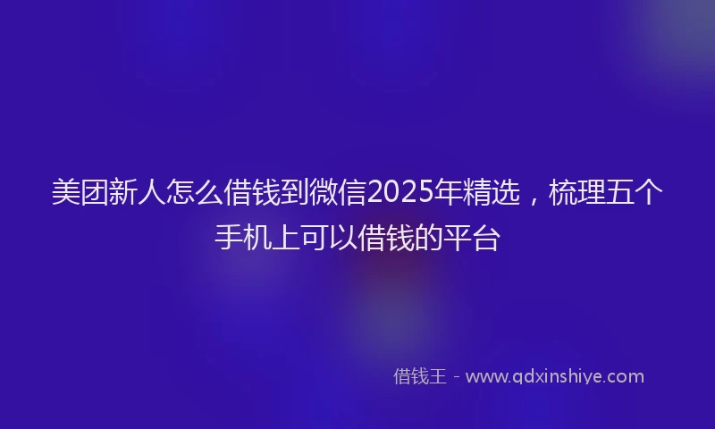 美团新人怎么借钱到微信2025年精选，梳理五个手机上可以借钱的平台