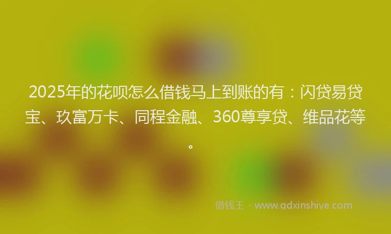 2025年的花呗怎么借钱马上到账的有：闪贷易贷宝、玖富万卡、同程金融、360尊享贷、维品花等。