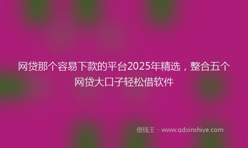 网贷那个容易下款的平台2025年精选，整合五个网贷大口子轻松借软件