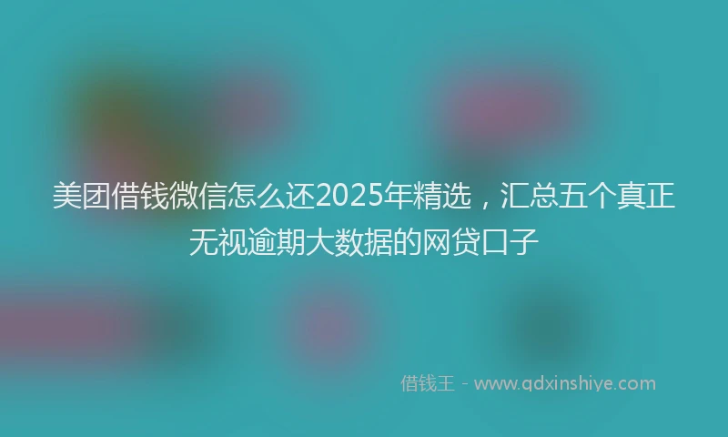 美团借钱微信怎么还2025年精选，汇总五个真正无视逾期大数据的网贷口子