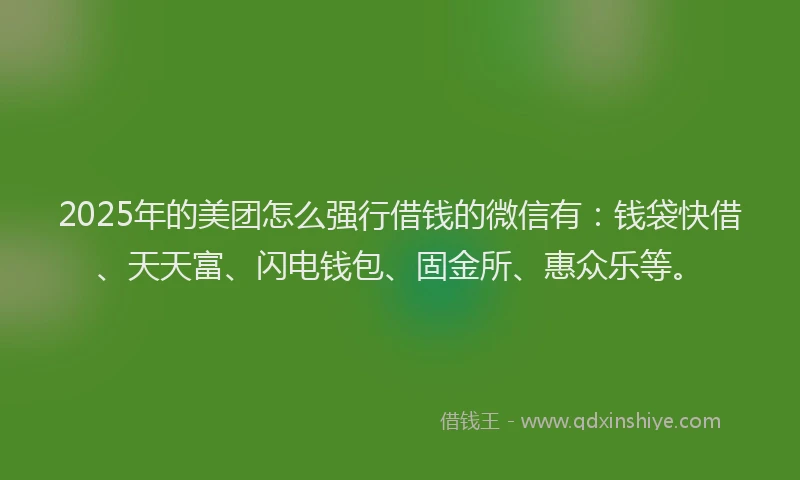 2025年的美团怎么强行借钱的微信有：钱袋快借、天天富、闪电钱包、固金所、惠众乐等。