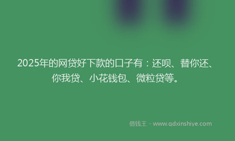2025年的网贷好下款的口子有：还呗、替你还、你我贷、小花钱包、微粒贷等。