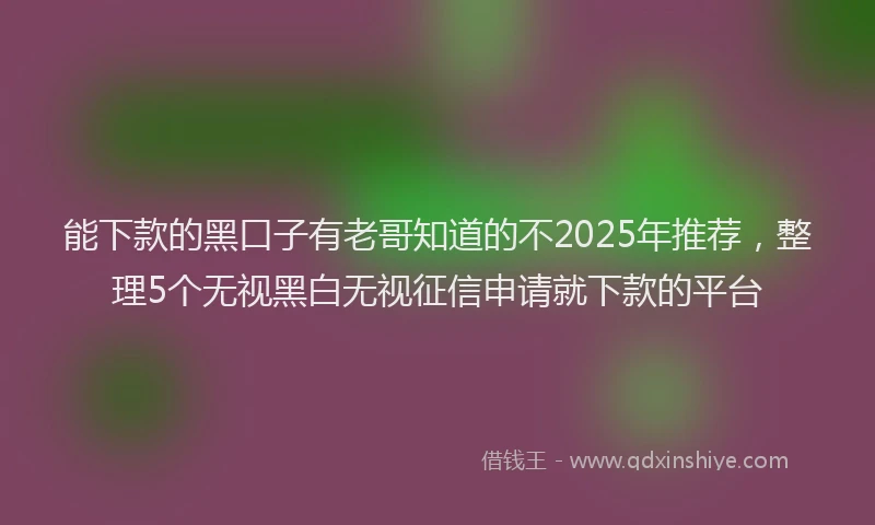 能下款的黑口子有老哥知道的不2025年推荐，整理5个无视黑白无视征信申请就下款的平台