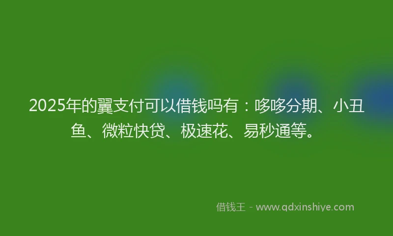 2025年的翼支付可以借钱吗有：哆哆分期、小丑鱼、微粒快贷、极速花、易秒通等。