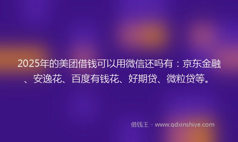 2025年的美团借钱可以用微信还吗有：京东金融、安逸花、百度有钱花、好期贷、微粒贷等。