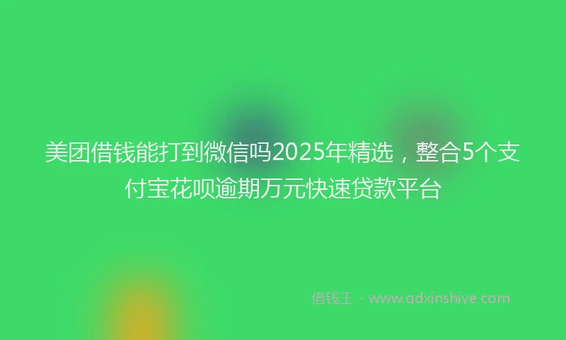 美团借钱能打到微信吗2025年精选，整合5个支付宝花呗逾期万元快速贷款平台