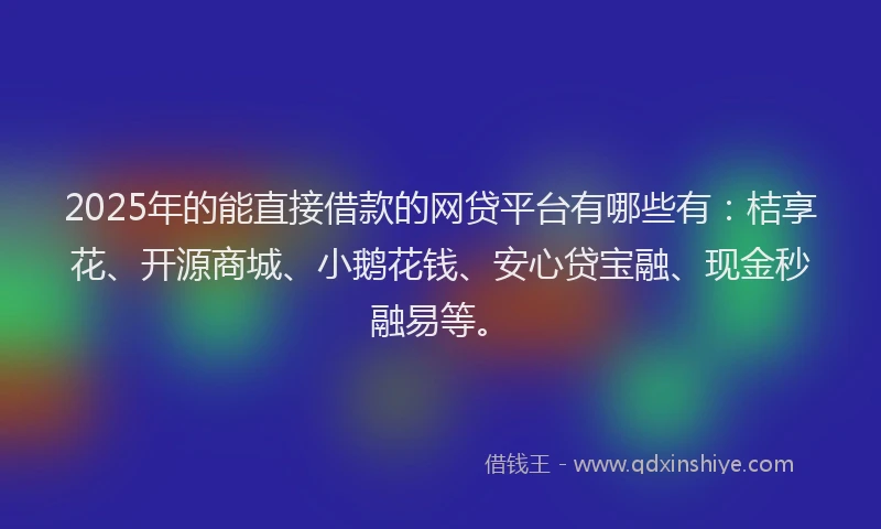 2025年的能直接借款的网贷平台有哪些有：桔享花、开源商城、小鹅花钱、安心贷宝融、现金秒融易等。