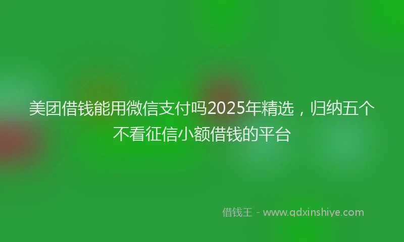 美团借钱能用微信支付吗2025年精选，归纳五个不看征信小额借钱的平台