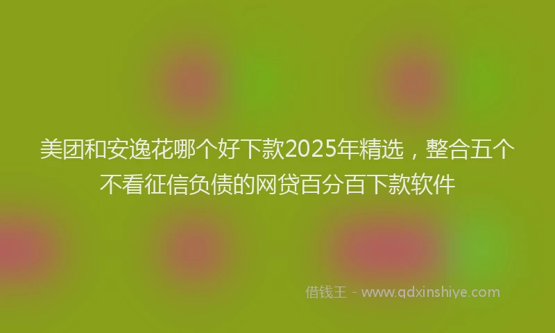 美团和安逸花哪个好下款2025年精选，整合五个不看征信负债的网贷百分百下款软件