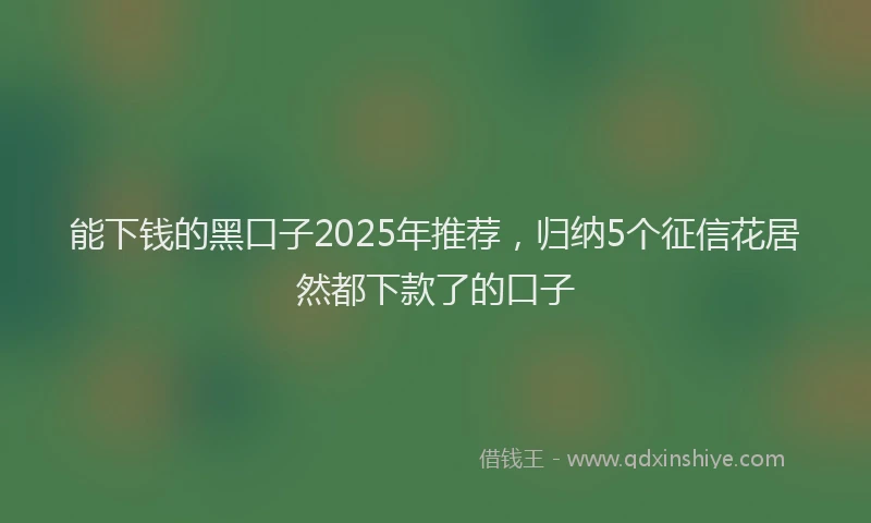 能下钱的黑口子2025年推荐，归纳5个征信花居然都下款了的口子
