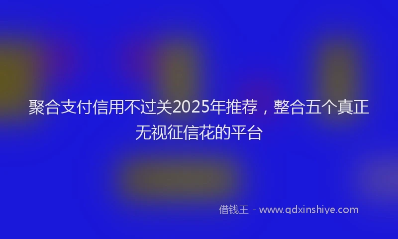 聚合支付信用不过关2025年推荐，整合五个真正无视征信花的平台