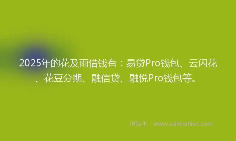 2025年的花及雨借钱有：易贷Pro钱包、云闪花、花豆分期、融信贷、融悦Pro钱包等。