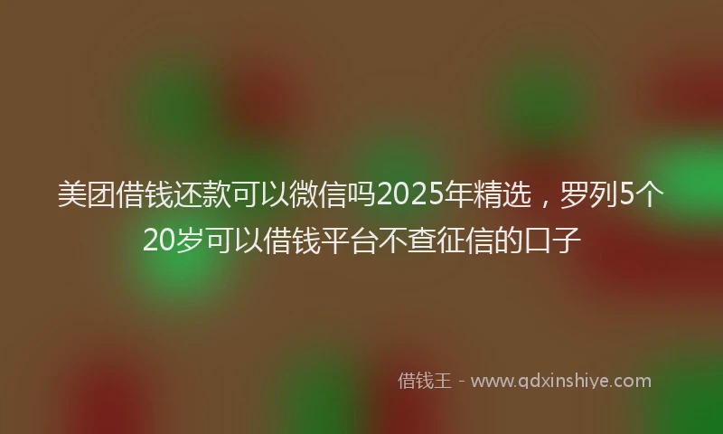 美团借钱还款可以微信吗2025年精选，罗列5个20岁可以借钱平台不查征信的口子