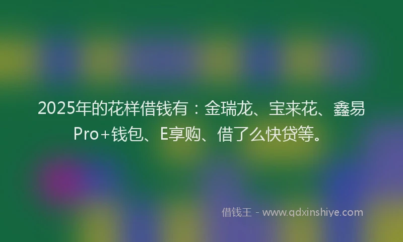 2025年的花样借钱有：金瑞龙、宝来花、鑫易Pro+钱包、E享购、借了么快贷等。