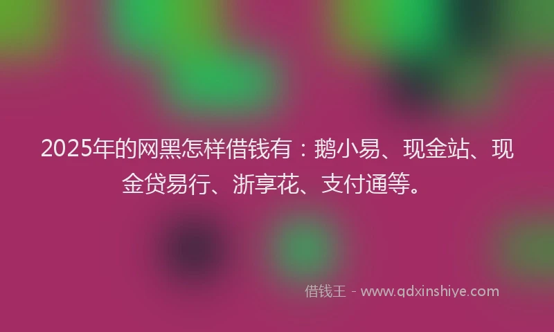 2025年的网黑怎样借钱有：鹅小易、现金站、现金贷易行、浙享花、支付通等。