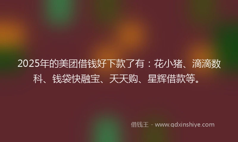 2025年的美团借钱好下款了有：花小猪、滴滴数科、钱袋快融宝、天天购、星辉借款等。