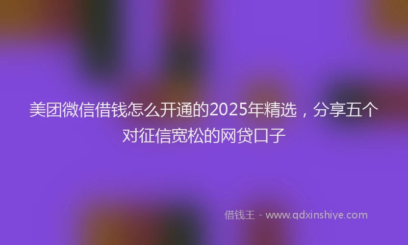 美团微信借钱怎么开通的2025年精选，分享五个对征信宽松的网贷口子