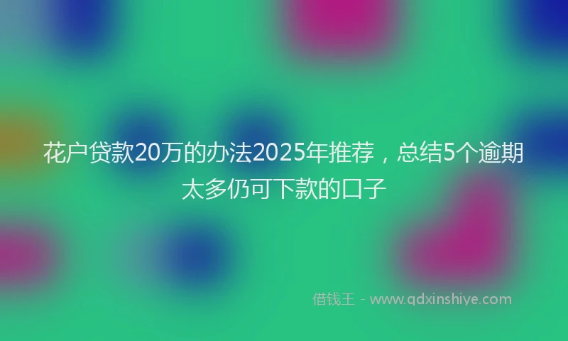 花户贷款20万的办法2025年推荐，总结5个逾期太多仍可下款的口子
