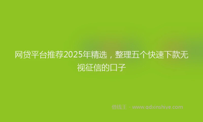 网贷平台推荐2025年精选，整理五个快速下款无视征信的口子