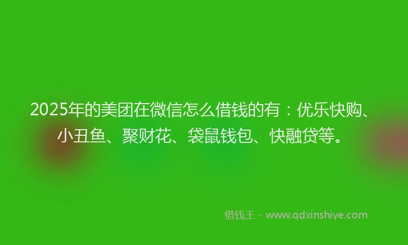 2025年的美团在微信怎么借钱的有：优乐快购、小丑鱼、聚财花、袋鼠钱包、快融贷等。