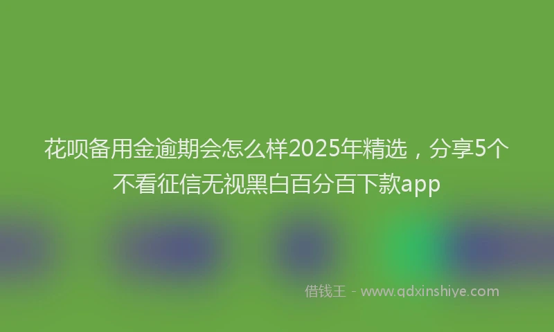 花呗备用金逾期会怎么样2025年精选，分享5个不看征信无视黑白百分百下款app