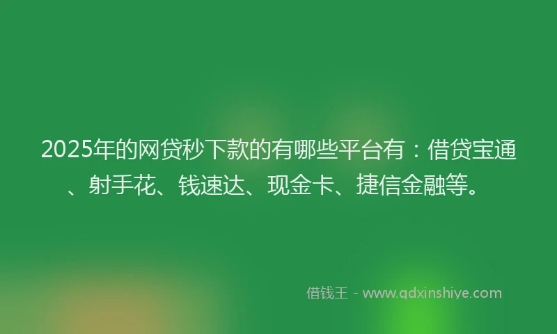 2025年的网贷秒下款的有哪些平台有：借贷宝通、射手花、钱速达、现金卡、捷信金融等。