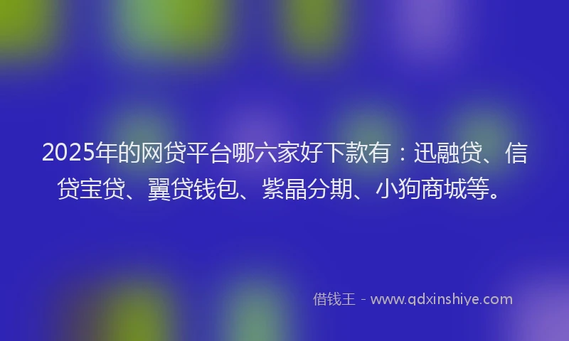 2025年的网贷平台哪六家好下款有：迅融贷、信贷宝贷、翼贷钱包、紫晶分期、小狗商城等。