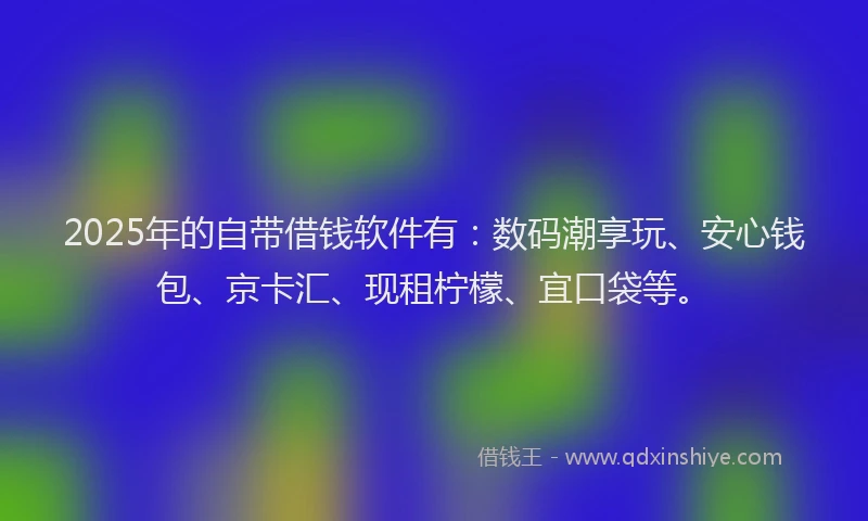 2025年的自带借钱软件有：数码潮享玩、安心钱包、京卡汇、现租柠檬、宜口袋等。