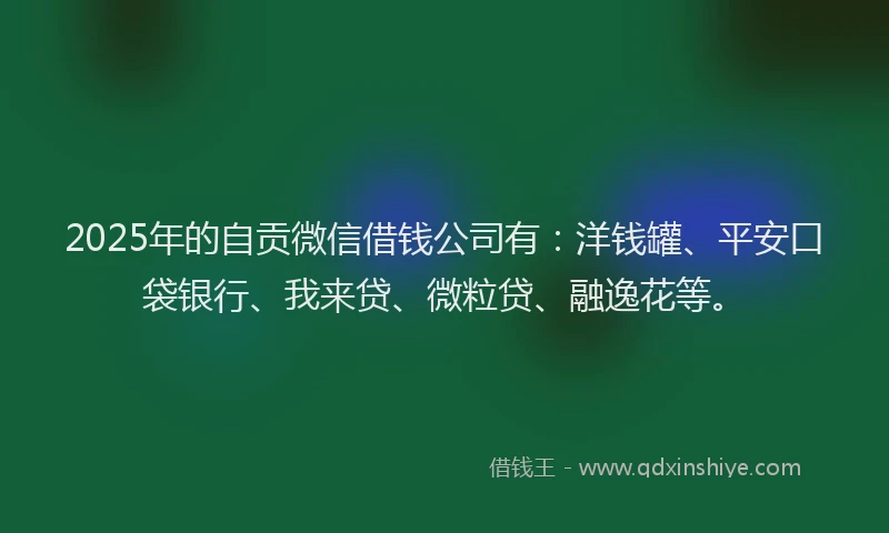 2025年的自贡微信借钱公司有：洋钱罐、平安口袋银行、我来贷、微粒贷、融逸花等。