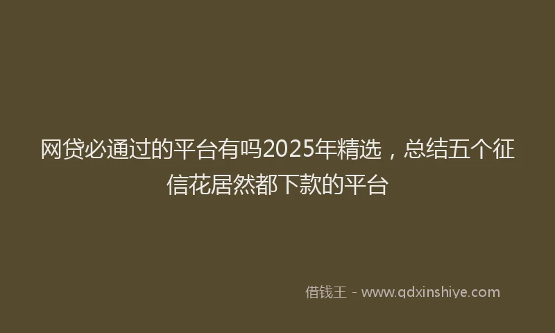 网贷必通过的平台有吗2025年精选，总结五个征信花居然都下款的平台