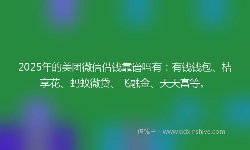 2025年的美团微信借钱靠谱吗有：有钱钱包、桔享花、蚂蚁微贷、飞融金、天天富等。