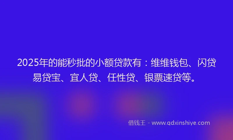 2025年的能秒批的小额贷款有：维维钱包、闪贷易贷宝、宜人贷、任性贷、银票速贷等。