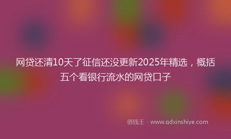 网贷还清10天了征信还没更新2025年精选，概括五个看银行流水的网贷口子