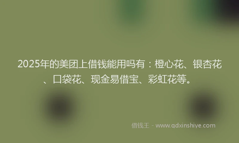 2025年的美团上借钱能用吗有：橙心花、银杏花、口袋花、现金易借宝、彩虹花等。