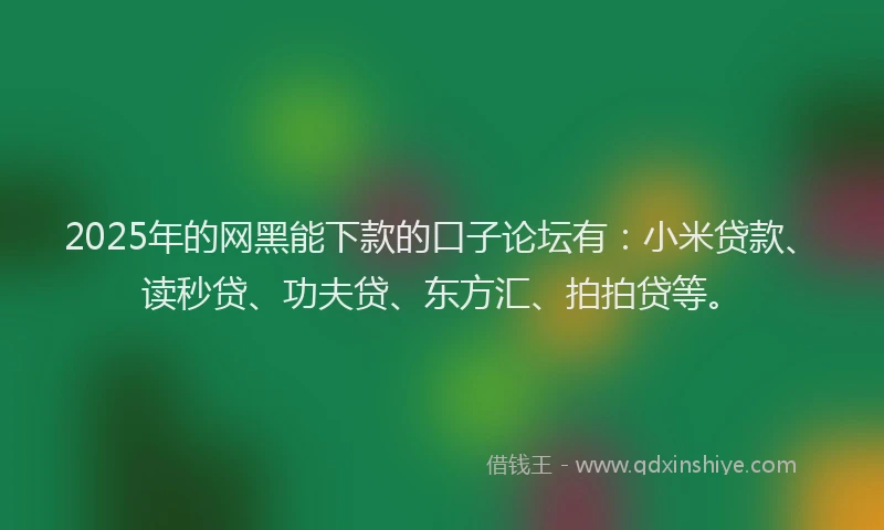 2025年的网黑能下款的口子论坛有：小米贷款、读秒贷、功夫贷、东方汇、拍拍贷等。