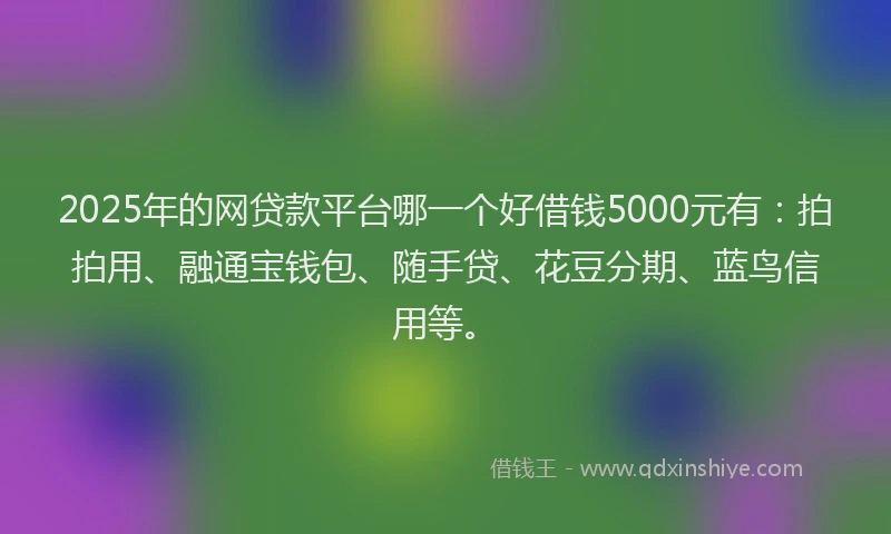 2025年的网贷款平台哪一个好借钱5000元有：拍拍用、融通宝钱包、随手贷、花豆分期、蓝鸟信用等。